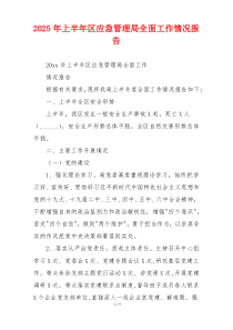 2026年上半年区应急管理局全面工作情况报告