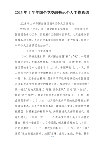 2026年上半年国企党委副书记个人工作总结