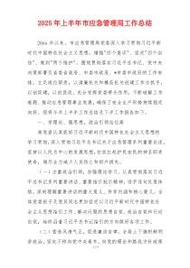 2026年上半年市应急管理局工作总结