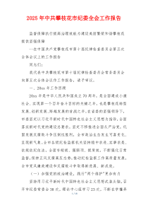 2026年中共攀枝花市纪委全会工作报告