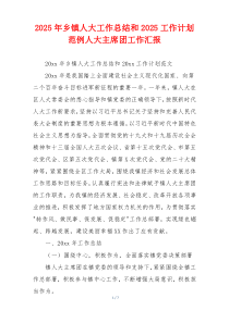 2026年乡镇人大工作总结和2026工作计划范例人大主席团工作汇报