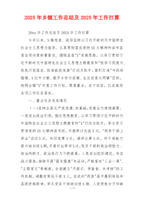 2026年乡镇工作总结及2026年工作打算