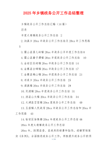 2026年乡镇政务公开工作总结整理