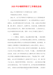 2026年乡镇领导班子工作情况总结