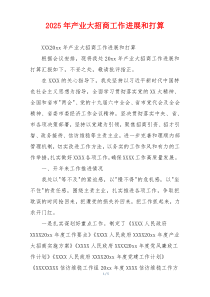 2026年产业大招商工作进展和打算