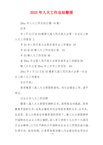 2026年人大工作总结整理