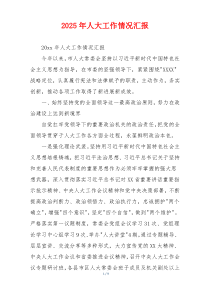 2026年人大工作情况汇报