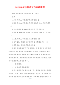 2026年依法行政工作总结整理
