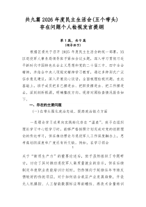 共九篇2026年度民主生活会（五个带头）存在问题个人检视发言提纲