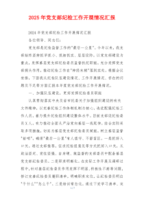 2026年党支部纪检工作开展情况汇报