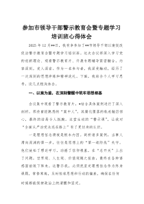 参加市领导干部警示教育会暨专题学习培训班心得体会