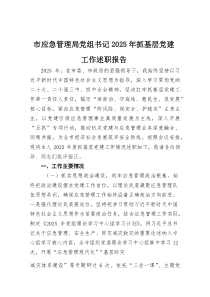 市应急管理局党组书记2026年抓基层党建工作述职报告