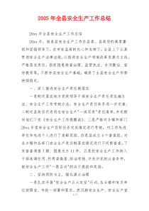 2026年全县安全生产工作总结