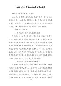 2026年全县法治宣传工作总结