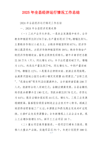 2026年全县经济运行情况工作总结