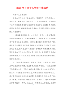 2026年公司个人年终工作总结