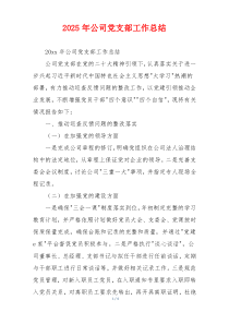 2026年公司党支部工作总结