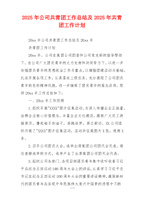 2026年公司共青团工作总结及2026年共青团工作计划