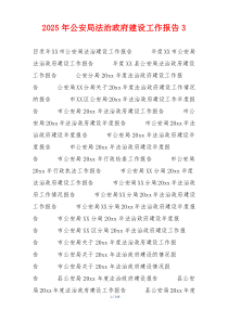 2026年公安局法治政府建设工作报告3