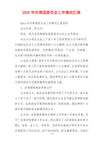 2026年共青团委员会工作情况汇报