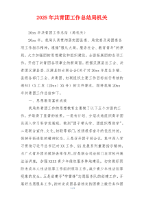 2026年共青团工作总结局机关