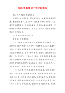 2026年共青团工作述职报告