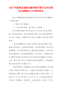 2026年勐腊县道路运输领域开展打击非法营运车辆整治工作情况报告