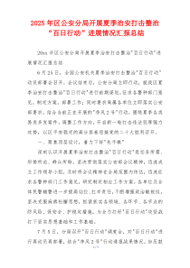 2026年区公安分局开展夏季治安打击整治“百日行动”进展情况汇报总结