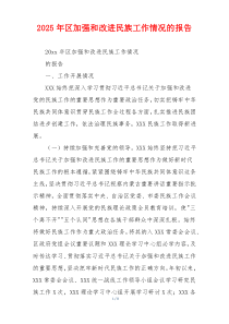 2026年区加强和改进民族工作情况的报告