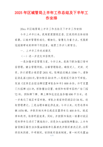 2026年区城管局上半年工作总结及下半年工作安排