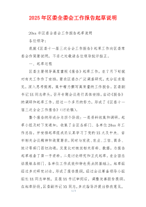 2026年区委全委会工作报告起草说明