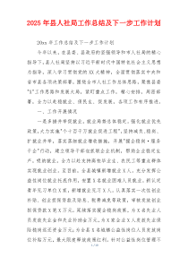 2026年县人社局工作总结及下一步工作计划