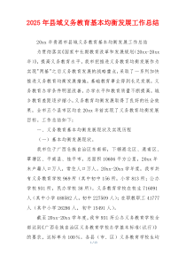 2026年县域义务教育基本均衡发展工作总结