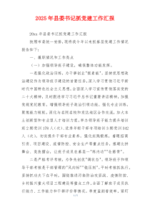 2026年县委书记抓党建工作汇报