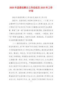 2026年县委巡察办工作总结及2026年工作计划