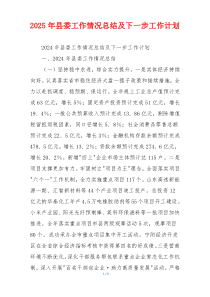 2026年县委工作情况总结及下一步工作计划