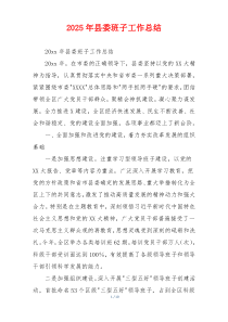 2026年县委班子工作总结