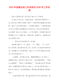 2026年县就业局工作总结及2026年工作安排