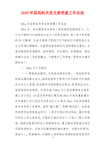 2026年县局机关党支部党建工作总结