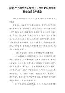 2026年县政府办公室关于公文抄袭问题专项整治自查自纠报告