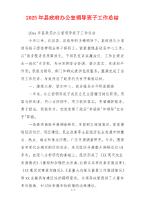 2026年县政府办公室领导班子工作总结