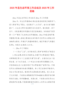 2026年县生态环保工作总结及2026年工作思路