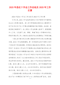 2026年县红十字会工作总结及2026年工作打算