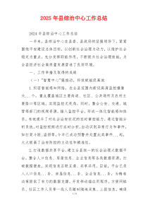 2026年县综治中心工作总结