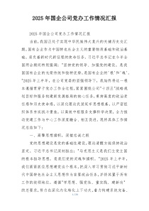 2026年国企公司党办工作情况汇报