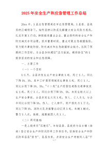 2026年安全生产和应急管理工作总结