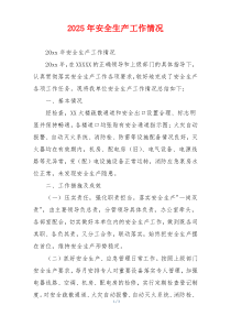 2026年安全生产工作情况