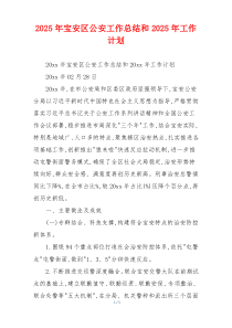 2026年宝安区公安工作总结和2026年工作计划