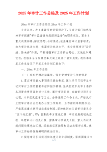 2026年审计工作总结及2026年工作计划