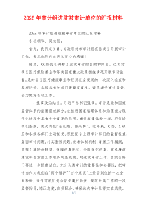 2026年审计组进驻被审计单位的汇报材料